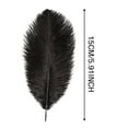 thumbnail image 2 of 15 Pack Soft Colored Feathers for DIY Crafts and Costumes, 2 of 4
