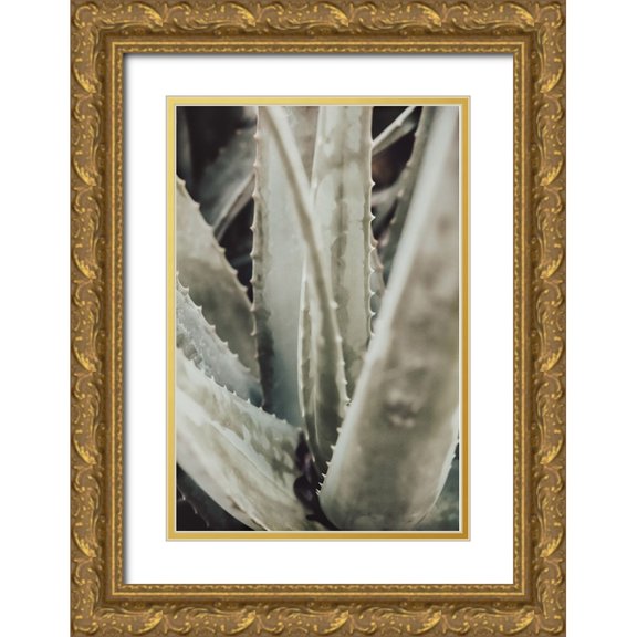 Artographie Studio 17x24 Gold Ornate Wood Framed with Double Matting Museum Art Print Titled - Aloe 001