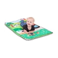 thumbnail image 3 of Gimnasio de actividades de La Granja, incluye coches musicales Baby Einstein, 3 of 9