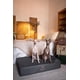thumbnail image 5 of Cama grande para perros NOAH & PAW, 89 x 64 x 22 cm, refrigeración ortopédica, 5 of 6