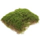 thumbnail image 5 of Césped de musgo simulado, musgo artificial, liquen, estera de musgo falso, musgo verde simulado, 5 of 7