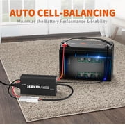 LiTime 12V 100Ah LiFePO4 Lithium Deep Cycle Battery 100A BMS 1280Wh Energy with 14.6V10A Charger