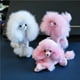 thumbnail image 2 of Serie de artesanías de animales de simulación, perro de peluche, caniche, caniche multicolor, 2 of 6