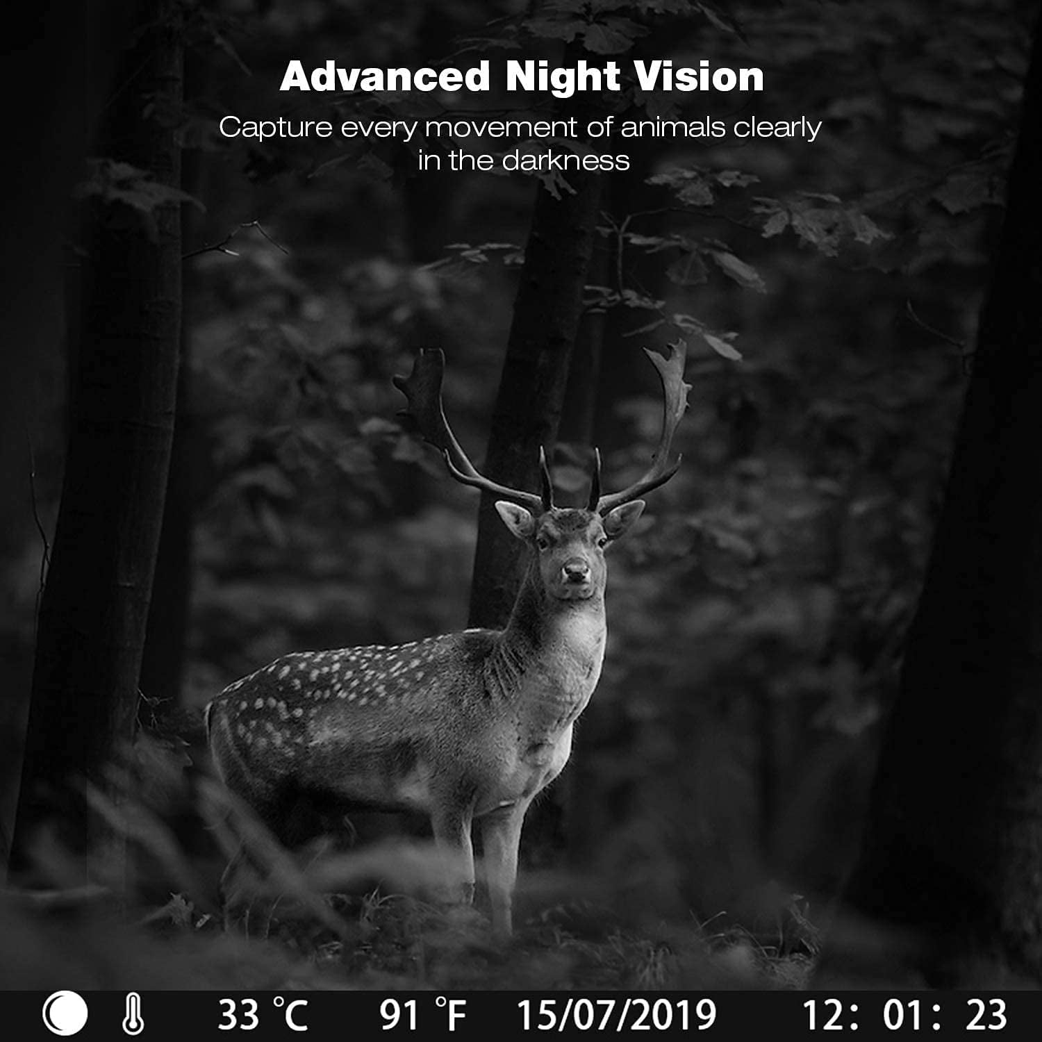 CAMPARK H70A 2 Pack Trail Camera 42MP 4K Deer Hunting Game Camera with Infrared Night Vision Fast Trigger Time Motion Activated Waterproof IP66 120° Wide Angel 2.4" LCD Trail Wildlife Camera