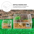 thumbnail image 3 of WHAMVOX 1Pcs Turtle Breeding Tank Transparent Acrylic Container for Reptile Enthusiasts, 3 of 7