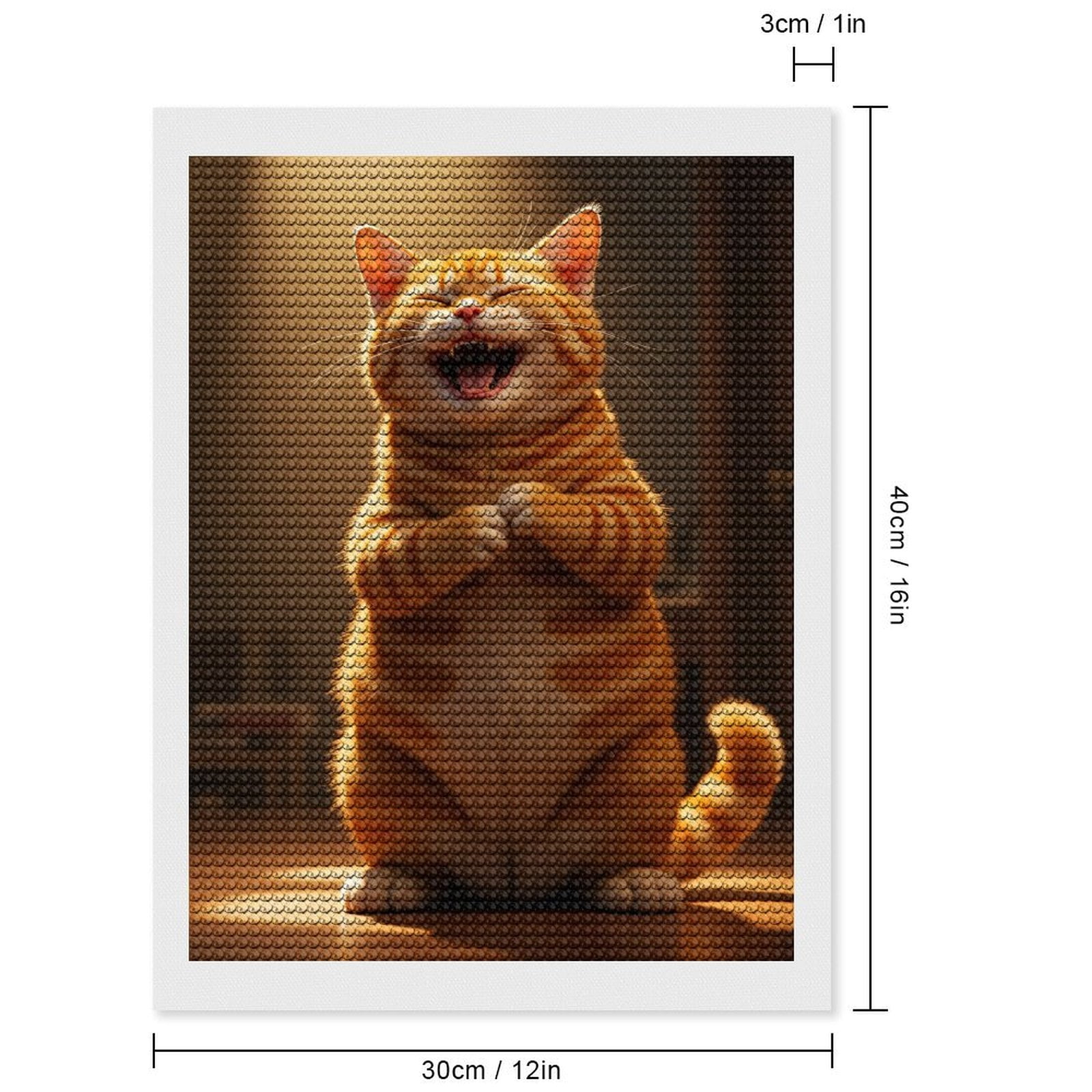 Diamond Art Kits for Adults, Smiling Orange Cat Standing Indoor 5D Diamond Painting Kits for Adults Beginners, DIY Full Drill Diamond Painting, Gem Art and Crafts 12x16