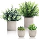 thumbnail image 1 of Plantas artificiales CEWOR, eucalipto y romero, suculentas, 4 unidades con macetas, 1 of 7