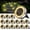 Warm White, variant on Mini Solar Ground Lights Outdoor IP65 Waterproof Solar Flat Garden Light Solor Powered Disc Pathway Lights for Outside Walkway Yard Landscape Patio Lawn Driveway