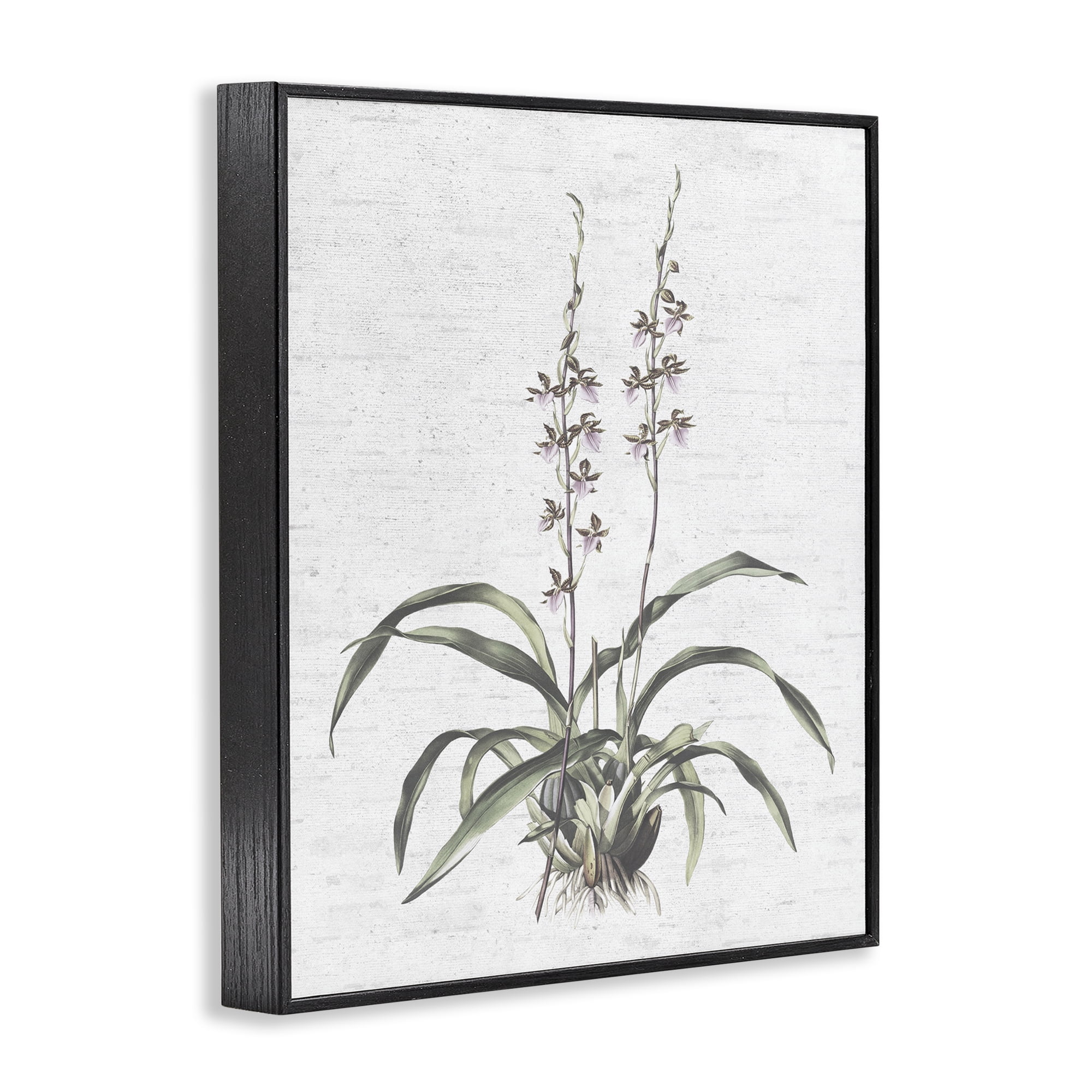 Stupell Industries Blooming Herb Bud Botanical & Floral Painting Black Framed Art Print Wall Art, 24 x 30