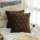 thumbnail image 3 of Dinheiro Juego de 2 Piezas de Funda de Almohada de 18X18" con Funda de Almohada Bohemia Decorativa de Color Sólido, Funda de Cojín, Felpa Suave, 3 of 5