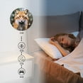 thumbnail image 4 of Non-Ticking Silent Wall Clocks Battery Operated Personalized Decor Clock for Living Room,Bedroom-Adorable Fox Captured In The Forest With Soft Natural Lighting(10inch), 4 of 4