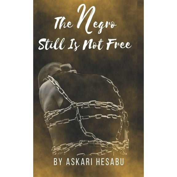 The Negro Still Is Not Free (Paperback)