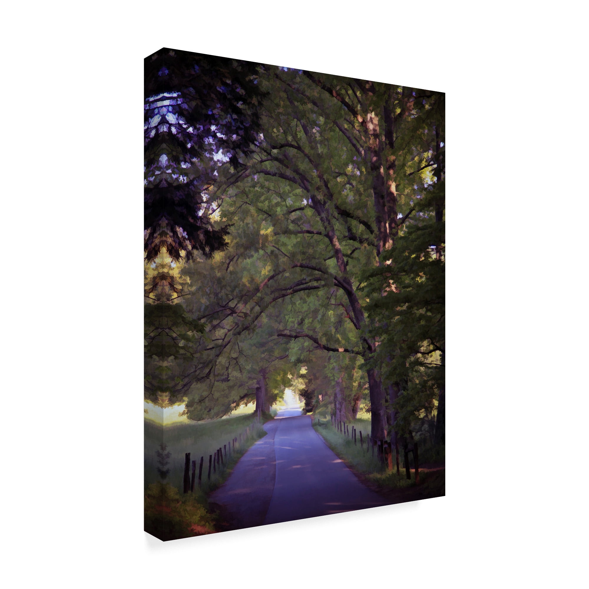 Trademark Fine Art 'Smokies 6' Canvas Art by J.D. McFarlan