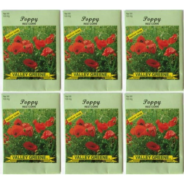 Valley Greene 6 Pack Heirloom Variety Red Corn Poppy Flower Seeds 100 Mg Package Non Ge Seeds Walmart Com Walmart Com