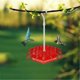 thumbnail image 1 of Hanging Hexagon Bird Feeder with Hook for Outside Hanging Ant and Bee Proof Garden Bird Feeder, 1 of 5