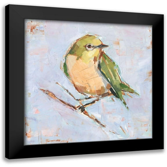 Harper, Ethan 12x12 Black Modern Framed Museum Art Print Titled - Bird Variety II