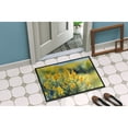 thumbnail image 4 of Carolines Treasures DAC1681JMAT 24 x 36 in. Unisex Nebraska Goldenrod in Watercolor Indoor or Outdoor Mat, 4 of 5