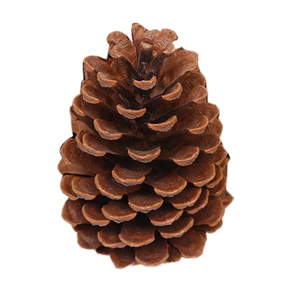 15cm Brown Wooden Natural Pine Cones Bulk for Home Party Fall Decoration, 5 Pack