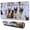 French Bulldogs, variant on Long Mouse Pads for Desk,German Shepherd Desk Mats on Top Of Desks, Desk Mouse Pad Extra Large with 3mm Non-Slip Base and Stitched Edge for Gaming,Office,Work,Home 31.5"x11.8"