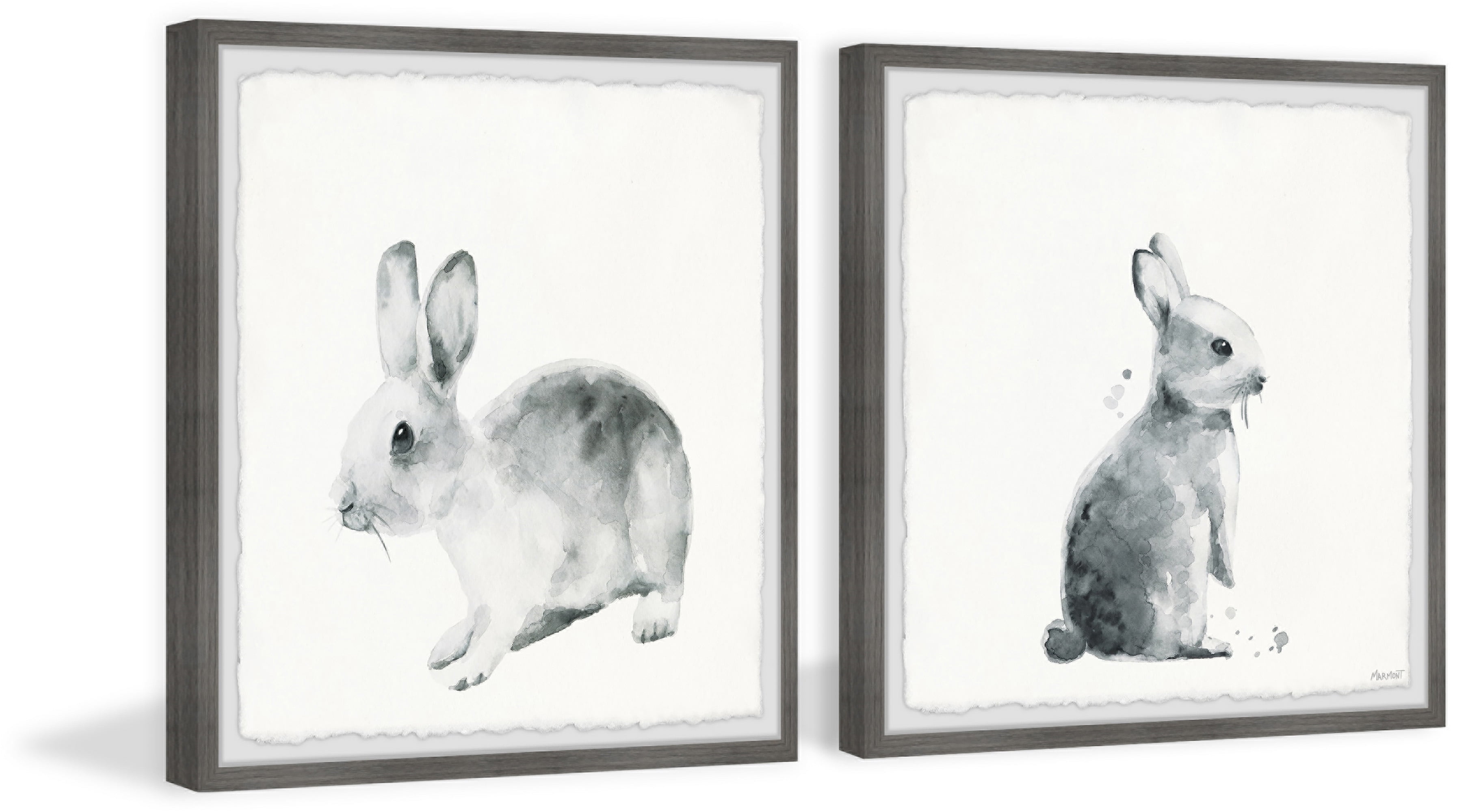 Marmont Hill Printed Animals & Insects Framed Art Prints, Set of 2