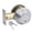 Satin Stainless Steel, variant on Single Cylinder Commercial Deadbolt – Polished Brass