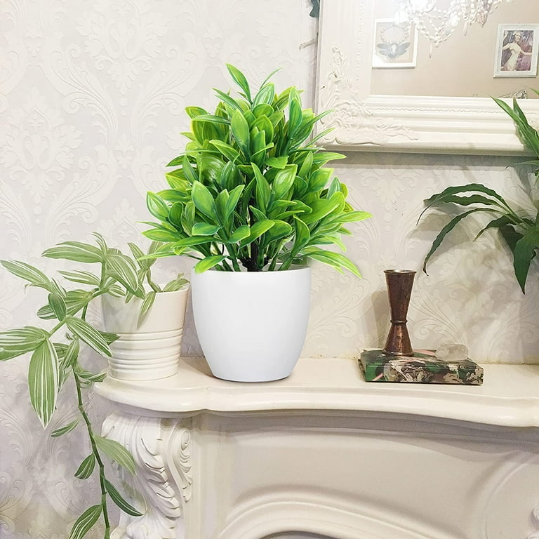 plant stickers plant sticker pack