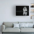 thumbnail image 3 of Canvas Wall Art - Amnon Eichelberg 'Cheetah Still' Wall Art for Living Room, Bedroom, or Office D?cor by Trademark Fine Art - 47 x 35 Inches, 3 of 4
