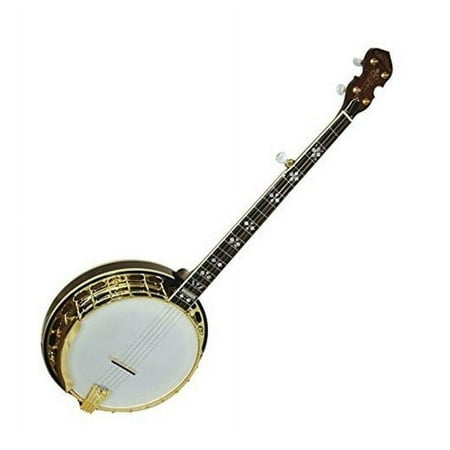 Gold Tone OB Gold 5-String Banjo w/ Hard Case - OB-250G