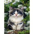 thumbnail image 1 of Pintura de diamante (DE6291) 5D Cuadrado Flor Gato Imagen de diamantes de imitación (A2506) 20X30cm Hugtrwg Para estrenar, 1 of 1