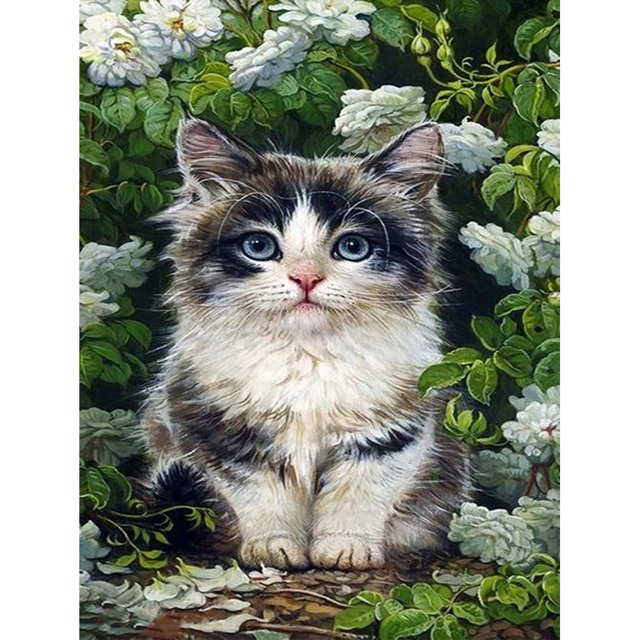 Pintura de diamante (DE6291) 5D Cuadrado Flor Gato Imagen de diamantes de imitación (A2506) 20X30cm Hugtrwg Para estrenar
