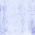thumbnail image 1 of Ahgly Company Machine Washable Indoor Square Abstract Blue Modern Area Rugs, 7' Square, 1 of 4