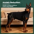 thumbnail image 5 of Kuoser Dog Anxiety Vest, Soft and Breathable Calming Shirt for Pet, Adjustable Dog Anxiety Relief Jacket for Thunderstorm, Fireworks, Travel, Separation, Black, XS, 5 of 7