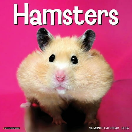 Hamsters 2026 Wall Calendar, (Paperback)