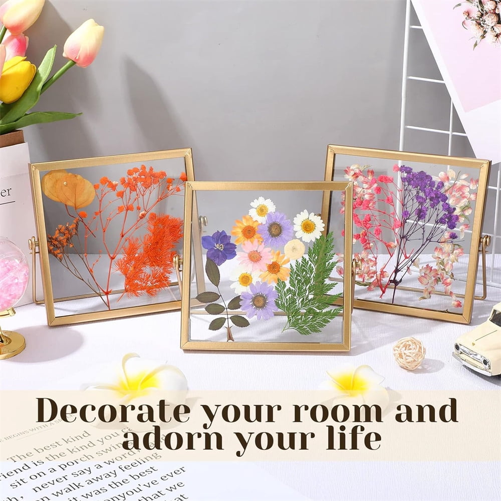 NOGIS Metal Picture Frames, Ornate Minimal Floating Edge Clear Glass Table Top Easel Stand Photo Frames in Gold, 4 x 4, Assortment Variety