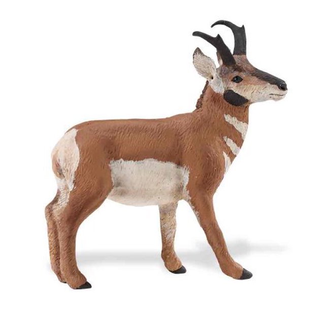 Safari S284729 Wild North American Wildlife Berrendo en miniatura Safari 95866284701