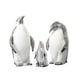 thumbnail image 3 of Figura de pingüino, obras de arte decorativas, escultura de Animal, decoración del hogar para estantería, entrada, sala de estar, regalo de decoración Familia Argenta, 3 of 9