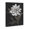 thumbnail image 2 of Stupell Industries Transitional Modern White Dahlia Blossom Sprout Canvas Art, 16 x 20, by Nina Blue, 2 of 7