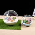 thumbnail image 4 of Micro Landscape Glass Vase Bauble Balls Succulent Plant Terrarium Container Angled Flower Pots, 4 of 6
