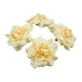 thumbnail image 1 of Guardoinrt 50pcs/set Stunning Bouquets With Soft Texture And Realistic Appearance Natural Looking Fiber Wide Application DIY Champagne 4.5cm 1Set, 1 of 6