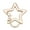 small-Gold, variant on Star Shaped Stainless Steel Keychain Clip Carabiner Hook Holder Star Carabiner Hook Clip Key Holder
