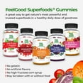 thumbnail image 7 of FeelGood Superfoods Super Berry Multivitamin Supplements, Acai, Amla, Lingonberry, Maqui, Bilberry, and Aronia Berry Gummies, Berry Flavor, Vegan, Non-GMO, 60 Count, 7 of 7