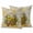 Light Beige Lemon Yellow Light Brown, variant on Summer Lemon Outdoor Pillow Covers 20"x12" Set of 2,Waterproof Throw Pillow Covers for Patio Furniture,Watercolor Yellow Fruits Botanical Vintage Decorative Cushion Pillowcases for Garden Couch Sofa