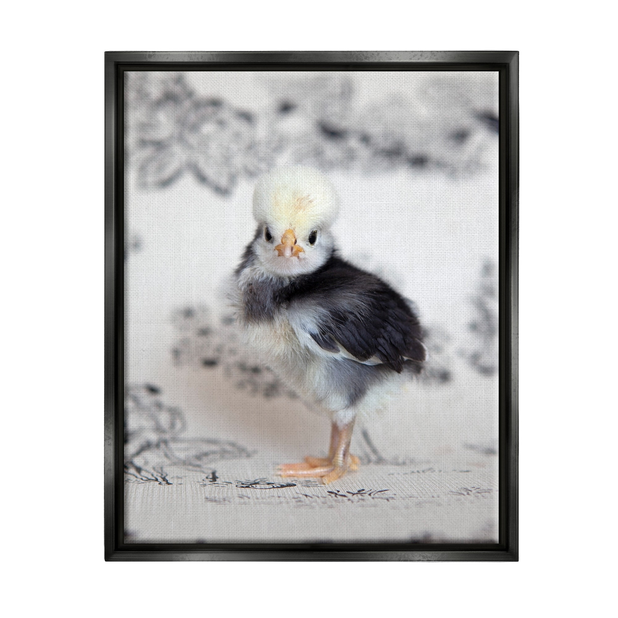 Stupell Industries Calm Baby Bird Chick Gazing Close-Up Photography Pattern Photograph Metallic Gold Floating Framed Canvas Print Wall Art, Design by Tania Soderman