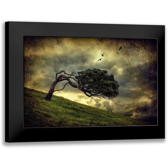 Elgar, Peter 14x11 Black Modern Framed Museum Art Print Titled - Winds Of Change