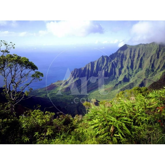 View Above the Na Pali Coast, Kauai, Hawaii, USA, Scenic Unframed Photographic Print Wall Art by Christopher Talbot Frank Sold by ArtCom