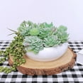 thumbnail image 6 of Qianfeng 11 Pcs Mini Artificial Succulent Plants Realistic Green Succulent Potted Plants (None Containers), 6 of 11