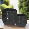 thumbnail image 4 of Wren Emboss Ceramic Planter Set (Set of 2), 4 of 11
