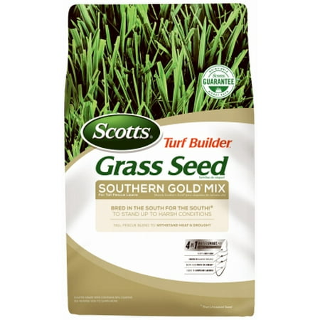 Scotts Turf Builder Southern Gold Mix Grass Seed (Best Time To Overseed Lawn In Southern California)