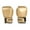 Gold, variant on DYEXPRESS Boxing Gloves, Pro Training Sparring, Sponge PU Leather, Suitable for Children Aged 3-12, Heavy Punching Bag Focus Mitts Pads Workout, Ventilated Palm, Multi Layered, 1 Pair (White)