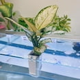 thumbnail image 2 of Sunjoy Tech 2Pcs Aquatic Plant Stands,Hydroponic Plants Baskets,Aquarium Flowerpot Plastic Hanger Fish Tank Decorations, 2 of 9